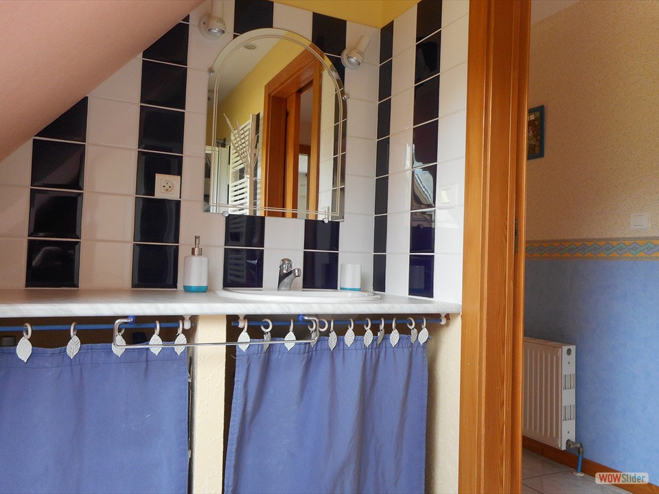 vasque sur plan salle de bain
